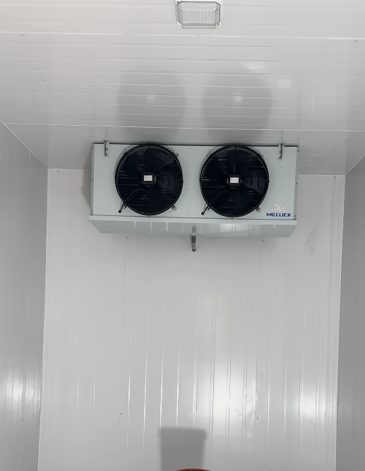 Kho lạnh cho nhà máy chế biến thực phẩm