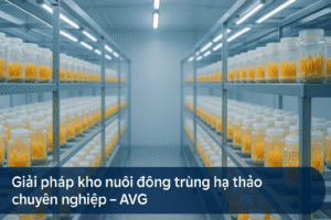 Kho nuôi đông trùng hạ thảo